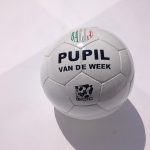pupil vd week zwaluwen