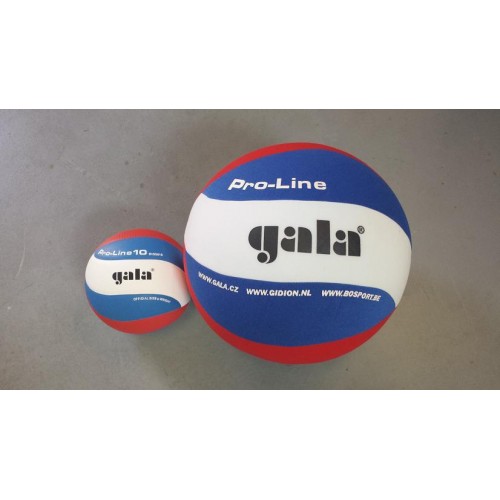 Iets Glad Verwachting Gala Volleybal Fun Bal – Voor al uw Sport ballen en Sport artikelen